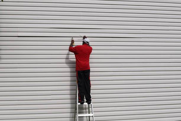 Best Vinyl Siding Installation  in Independence, VA