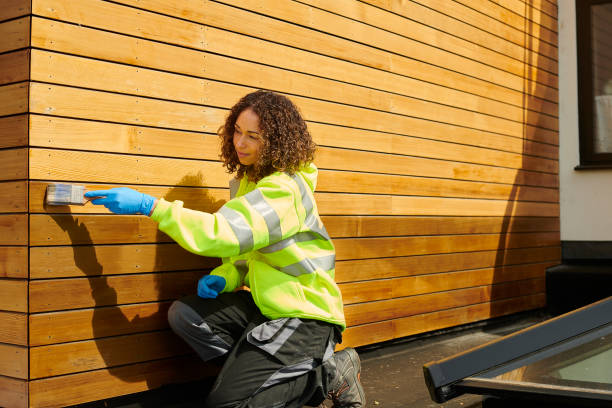 Best Fascia and Soffit Installation  in Independence, VA